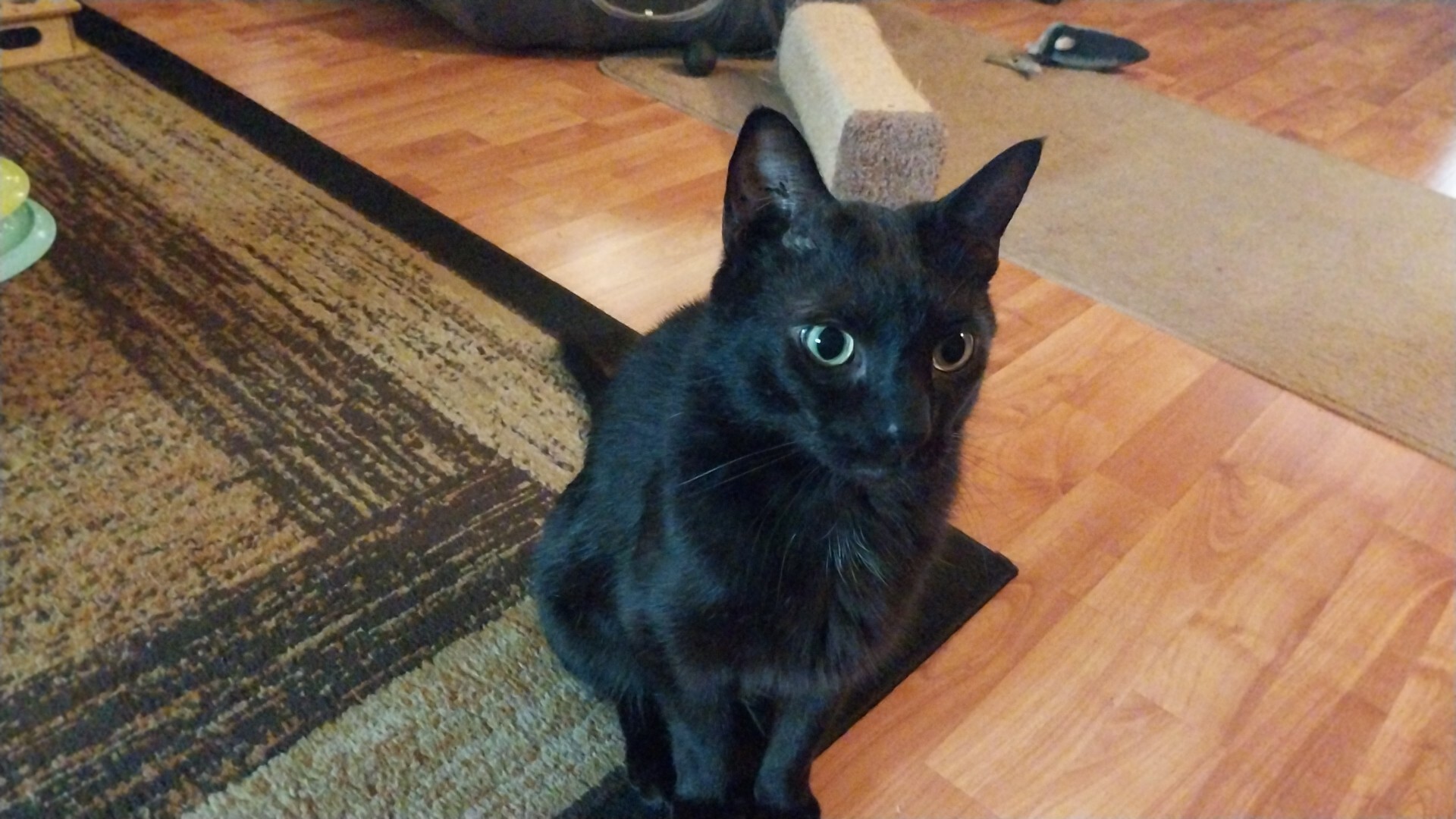 Boone!