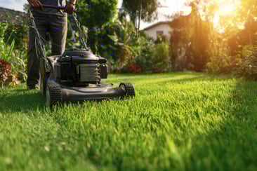 dreamstime_m_423558371