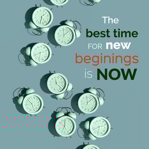 dreamstime_xxl_255341503